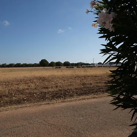 Macchia Bianca فيلة سان ميكيلي سالنتينو